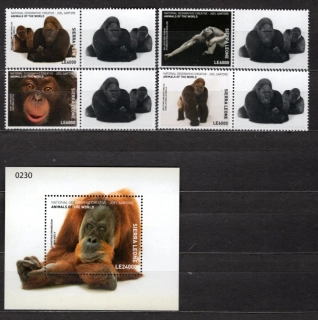 8008-8011 BL 1134 +kupón Fauna
