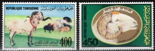 1206-1207