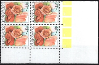 0286 I.typ PD