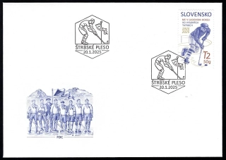 FDC 838