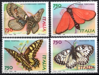 2449-2452 Fauna