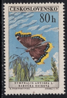 1222 V.V.