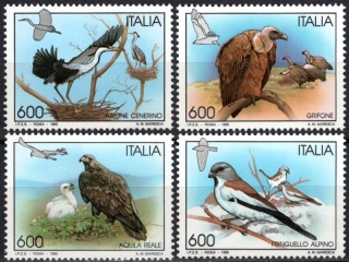 2362-2365 Fauna