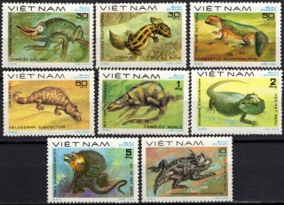 1309-1316 Fauna