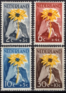 0521-0524*