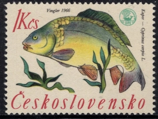 1519 ** II. TYP