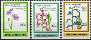 2395-2397 Flóra
