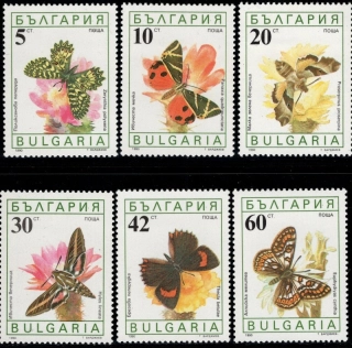 3852-3857 Fauna