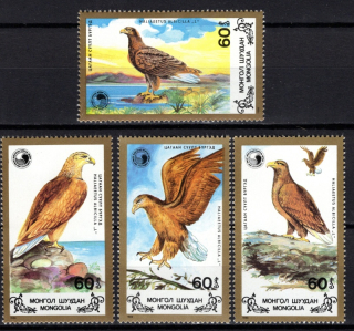1991-1994 Vtáky