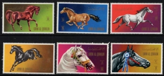 0496-0501 Kone