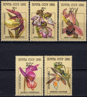 6192-6196 Flóra