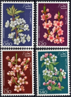 0718-0721 Flóra