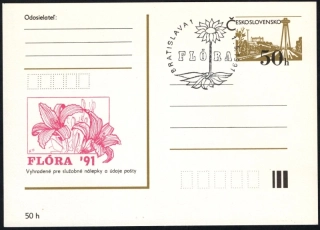 CDV 193/19