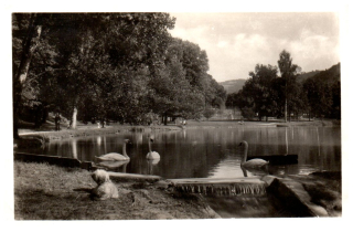 Trenčianske teplice