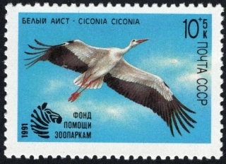 6172 Vtáky