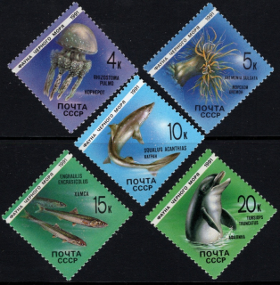 6158-6162 Fauna