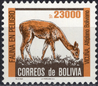 1025 Fauna