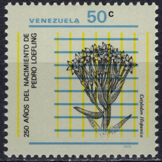 2146 Flóra