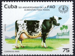 3808 Fauna
