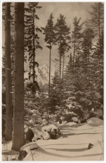 Vysoké Tatry
