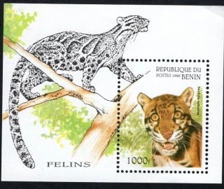 0812 BL 19 Fauna