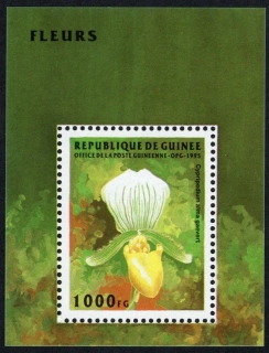 01554 BL 497 Flóra