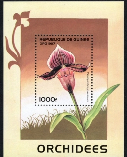 1630 BL 507 Flóra