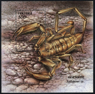 1805 BL 255 Fauna