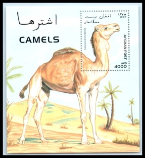 1718 BL 92 Fauna