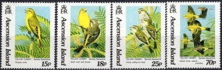 0598-0561 Fauna