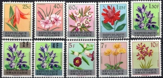 0013-0022 Flóra