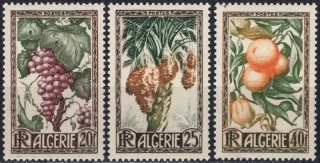 0290-0292 Flóra
