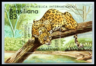 2416 BL 152 Fauna