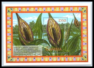 4820 BL 626 Flóra