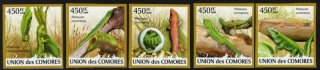 2346-2350 B Fauna