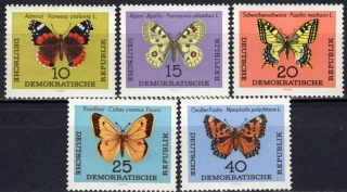 1004-1008 Fauna