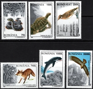 5208-5213 Fauna