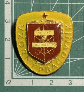 Vzorný pracovník - miestne hospodárstvo