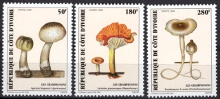 1193-1195 Hríby