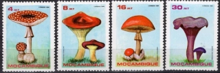 1057-1060 Hríby