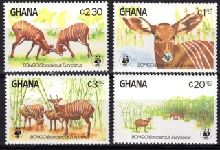 1060-1063 Fauna