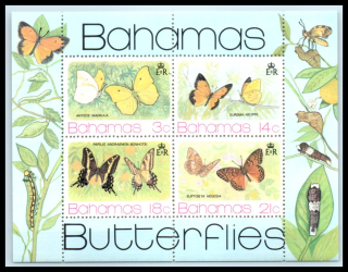 0378-0381 BL 13 Fauna