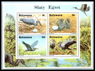 0455-0458 BL 22 Vtáky