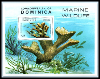 0636 BL 56 Fauna