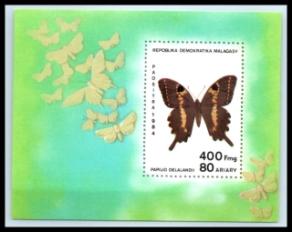 0963 BL 27 Fauna
