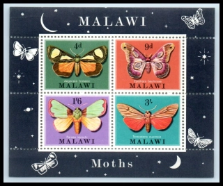 0134-0137 BL 19 Fauna