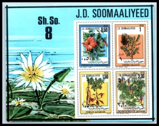 0270-0273 BL 7 Flóra
