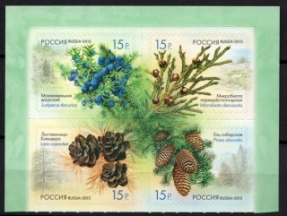 1914-1917