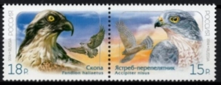 2095-2096