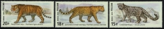 2105-2107